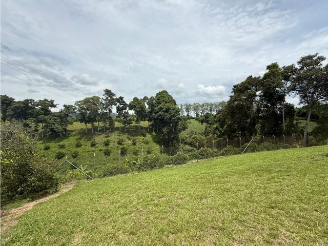 place photo 59