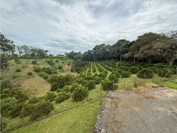 place photo 64