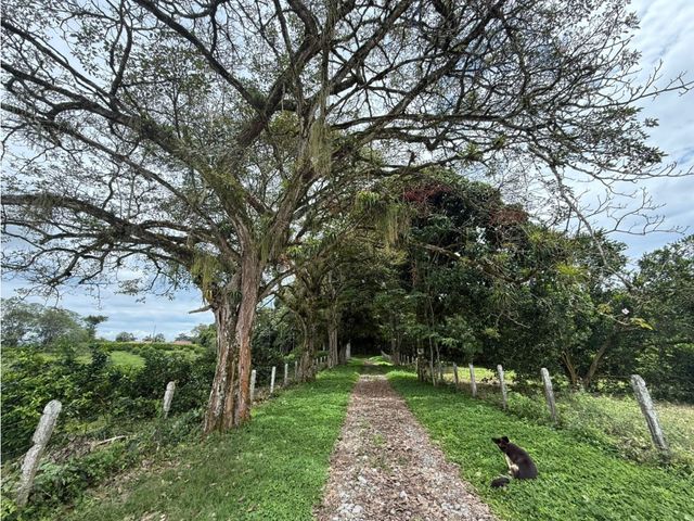 place photo 57
