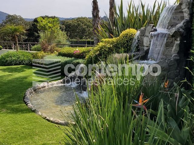 place photo 46