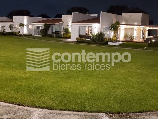 place photo 49