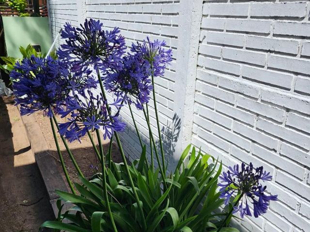 place photo 34