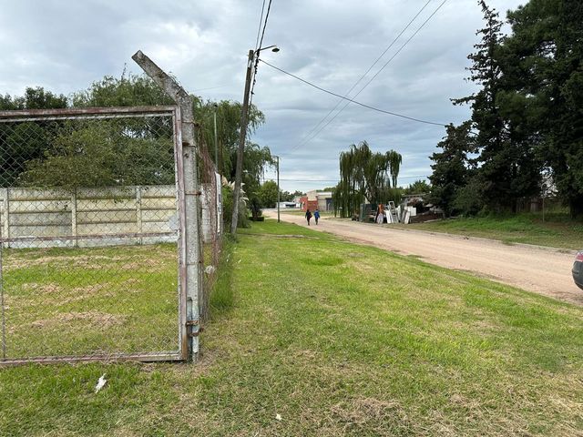 place photo 14