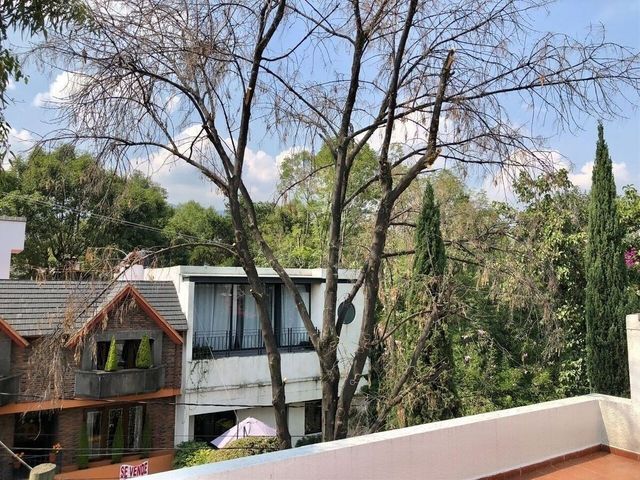 place photo 34