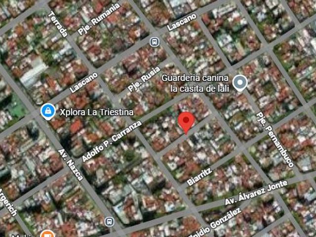 place photo 14