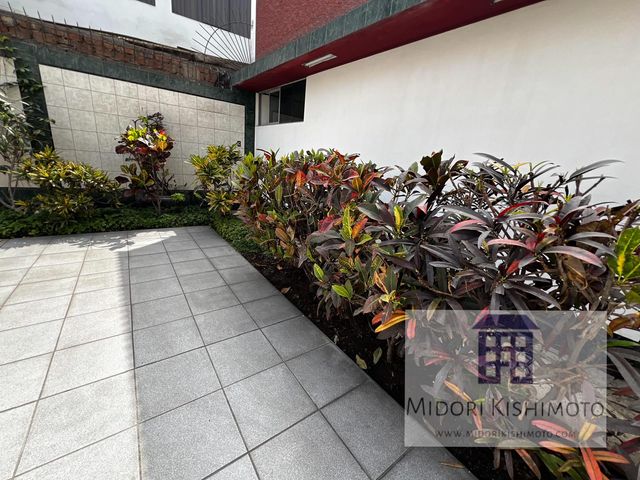 place photo 51