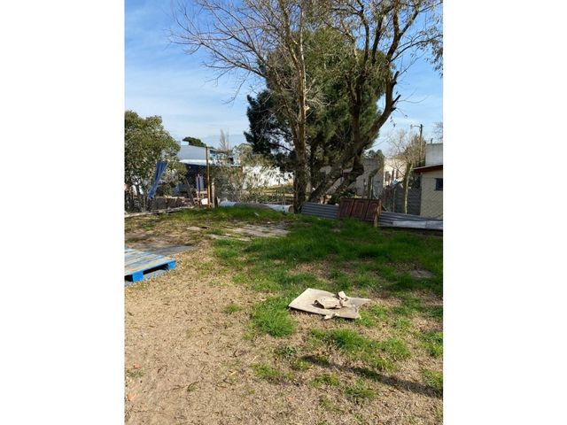 place photo 14