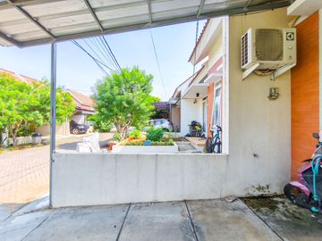 place photo 22