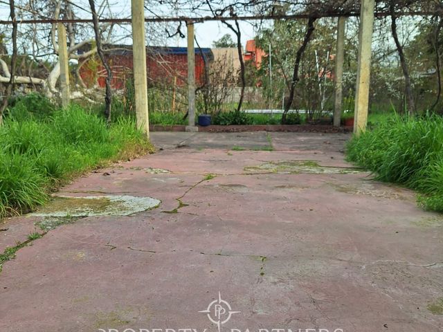 place photo 33