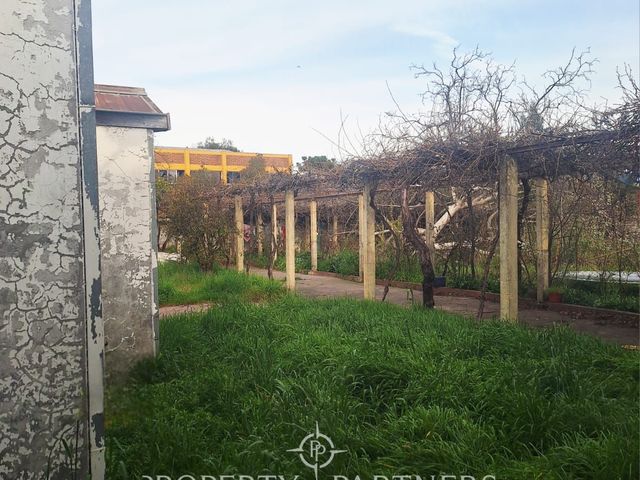 place photo 34
