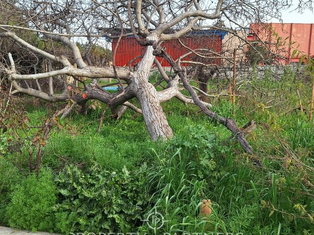 place photo 26