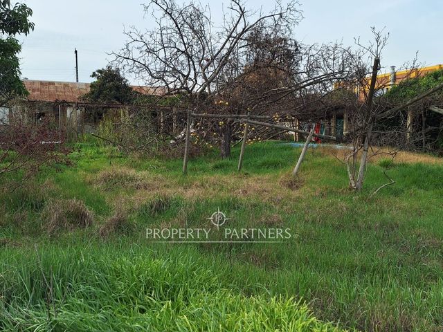 place photo 37