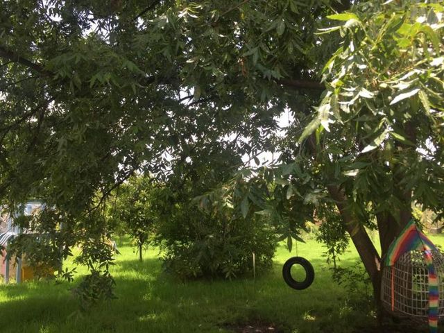 place photo 16