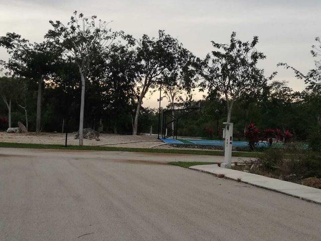 place photo 5