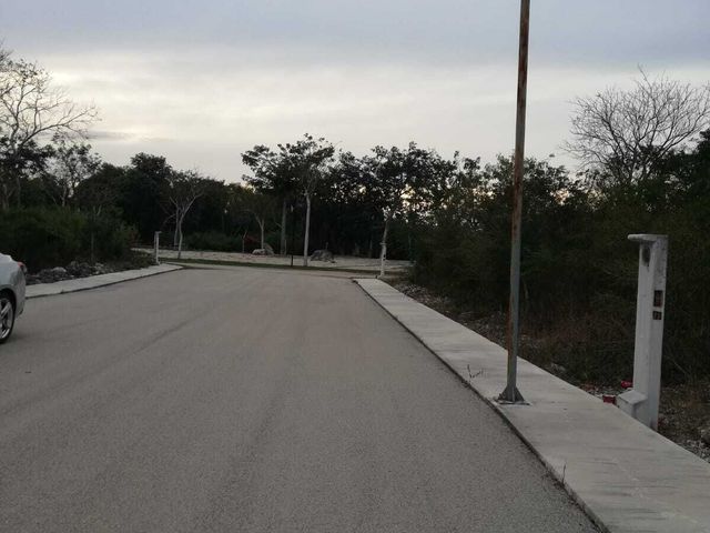 place photo 13