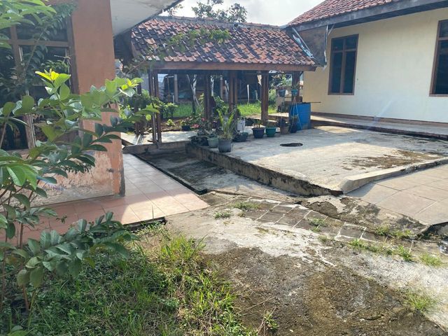 place photo 21