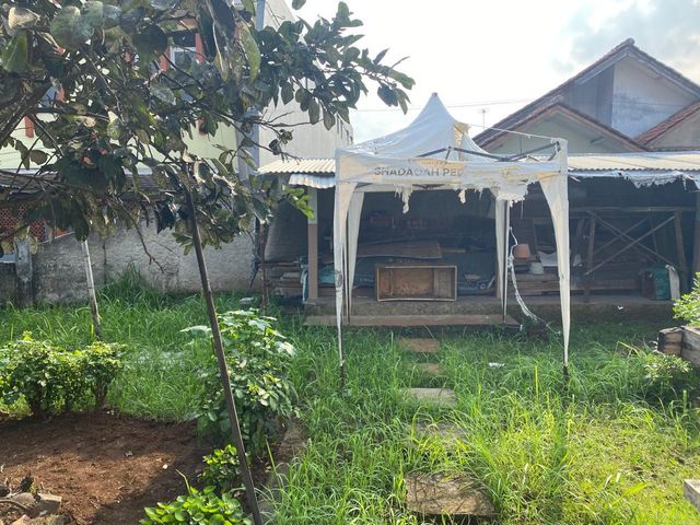 place photo 18
