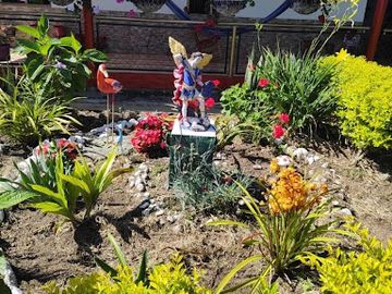 place photo 6
