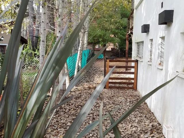 place photo 42