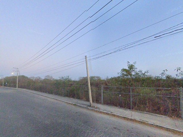 place photo 14