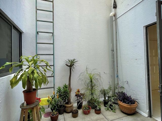 place photo 46