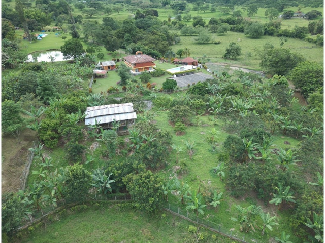 place photo 31