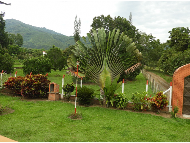 place photo 29