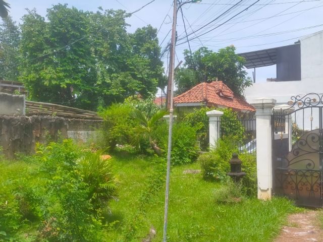 place photo 4