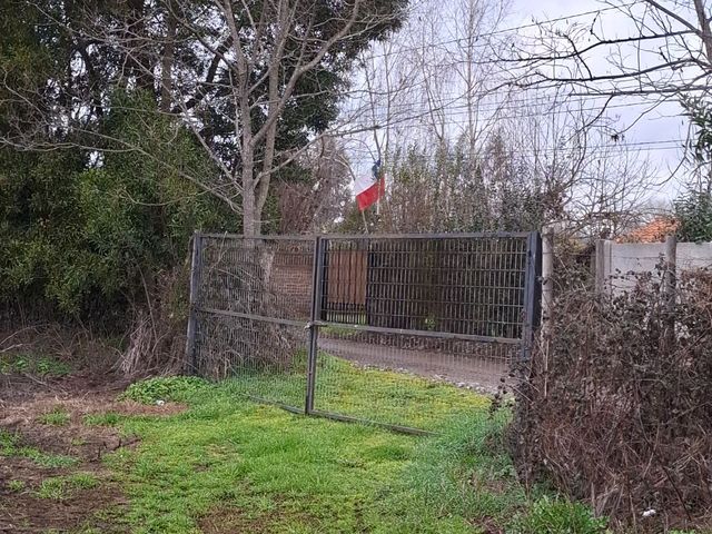 place photo 21
