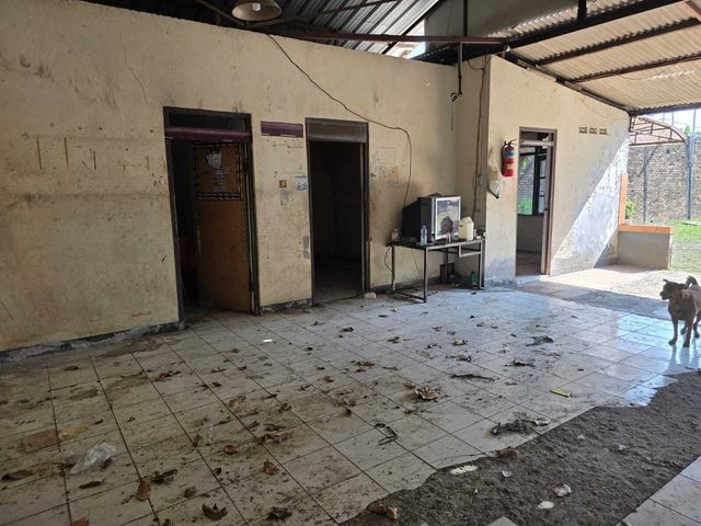place photo 23