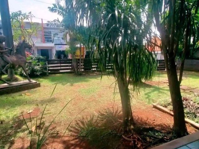 place photo 10