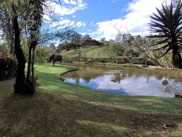 place photo 22