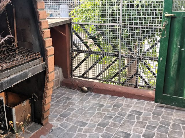 place photo 50