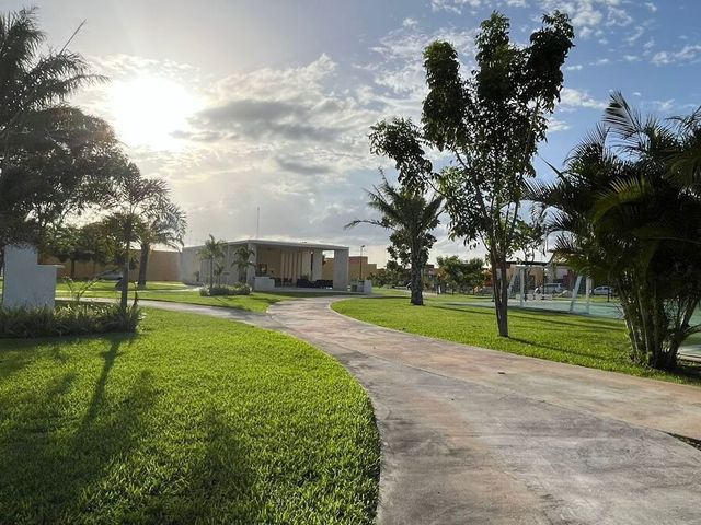 place photo 21