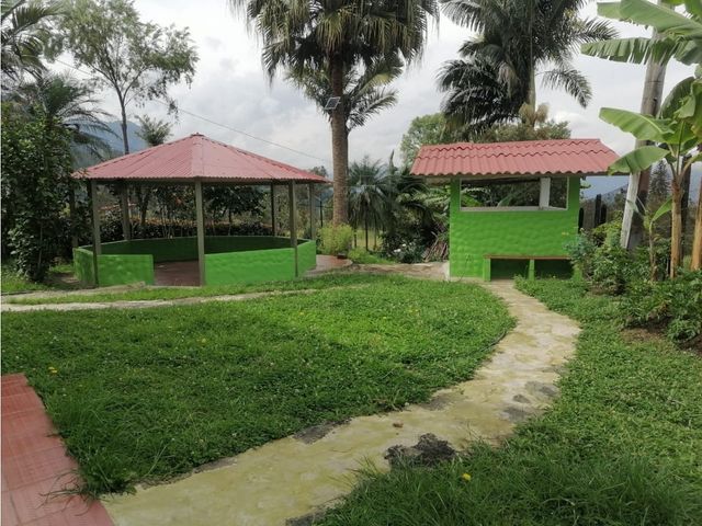 place photo 38