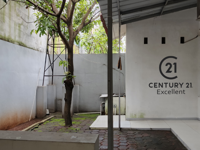 place photo 13