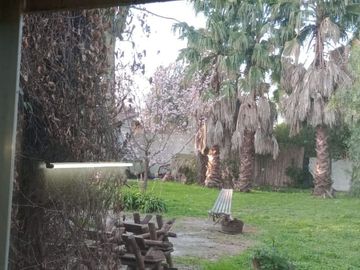 place photo 32