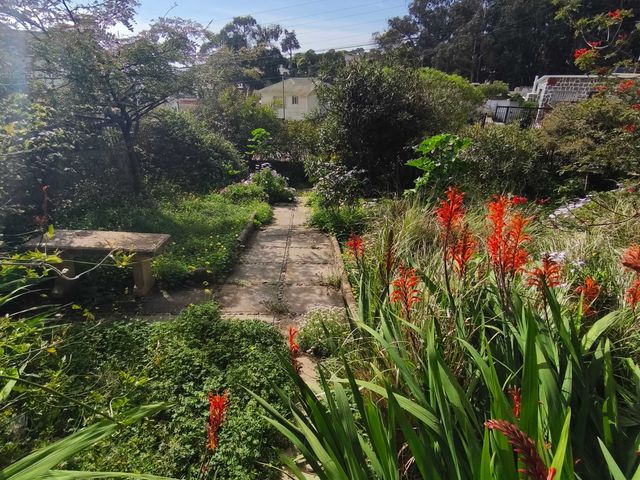 place photo 16