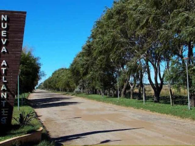 place photo 16