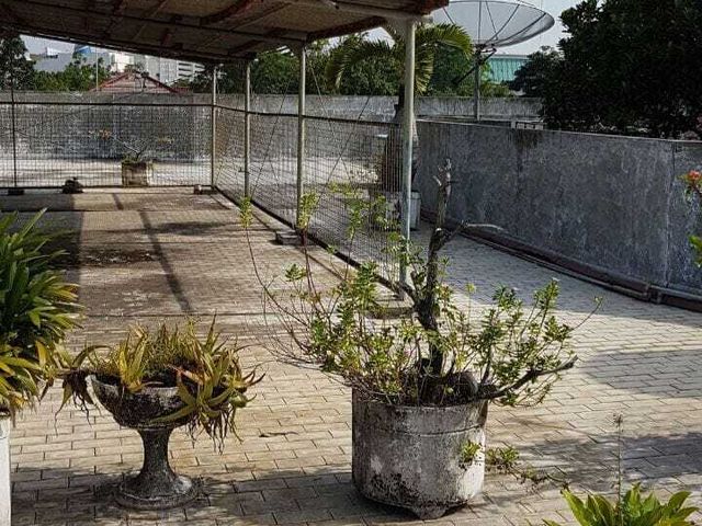 place photo 17