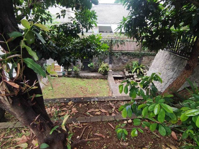 place photo 13