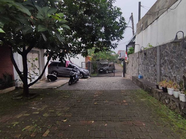 place photo 26