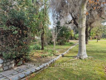 place photo 40