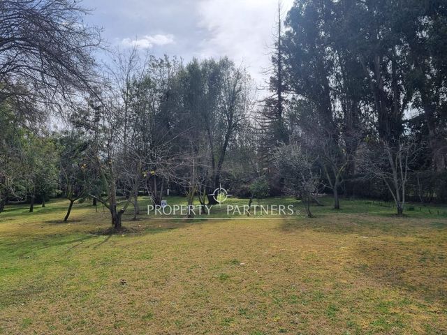 place photo 33