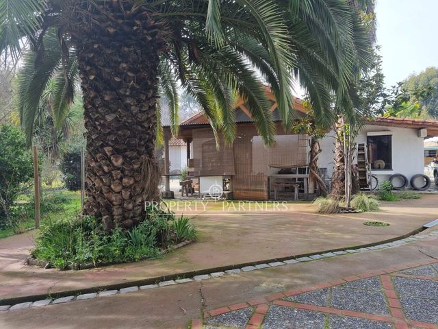 place photo 42
