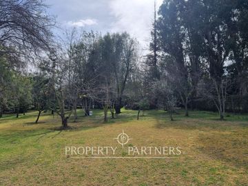 place photo 33