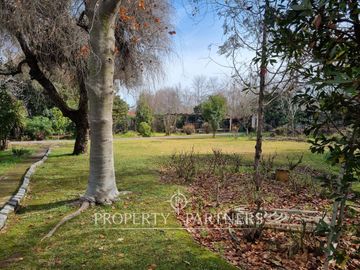 place photo 36