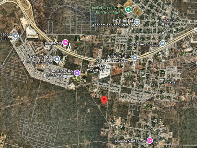 place photo 1