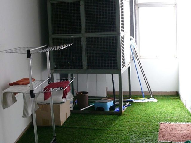 place photo 31