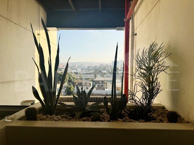 place photo 30